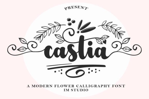 Castia: A Delicate Script Handwritten Font for Makers