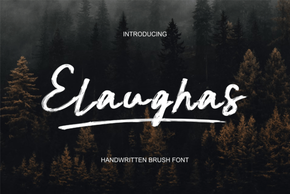 Elaughas Font – Bold Display Type